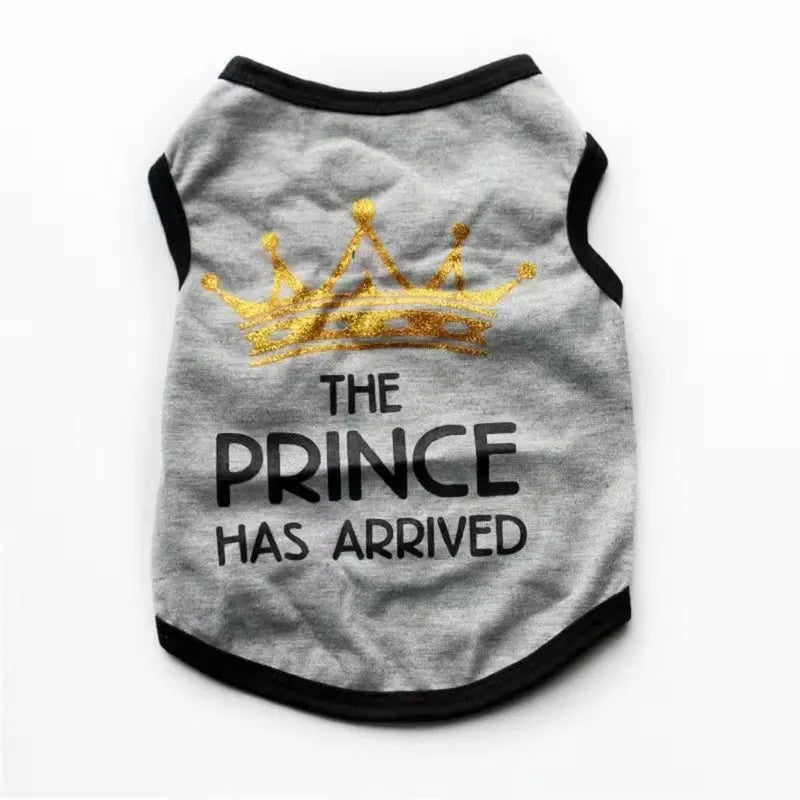 Light grey cotton puppy vest for spring and summer wear on a small dog
