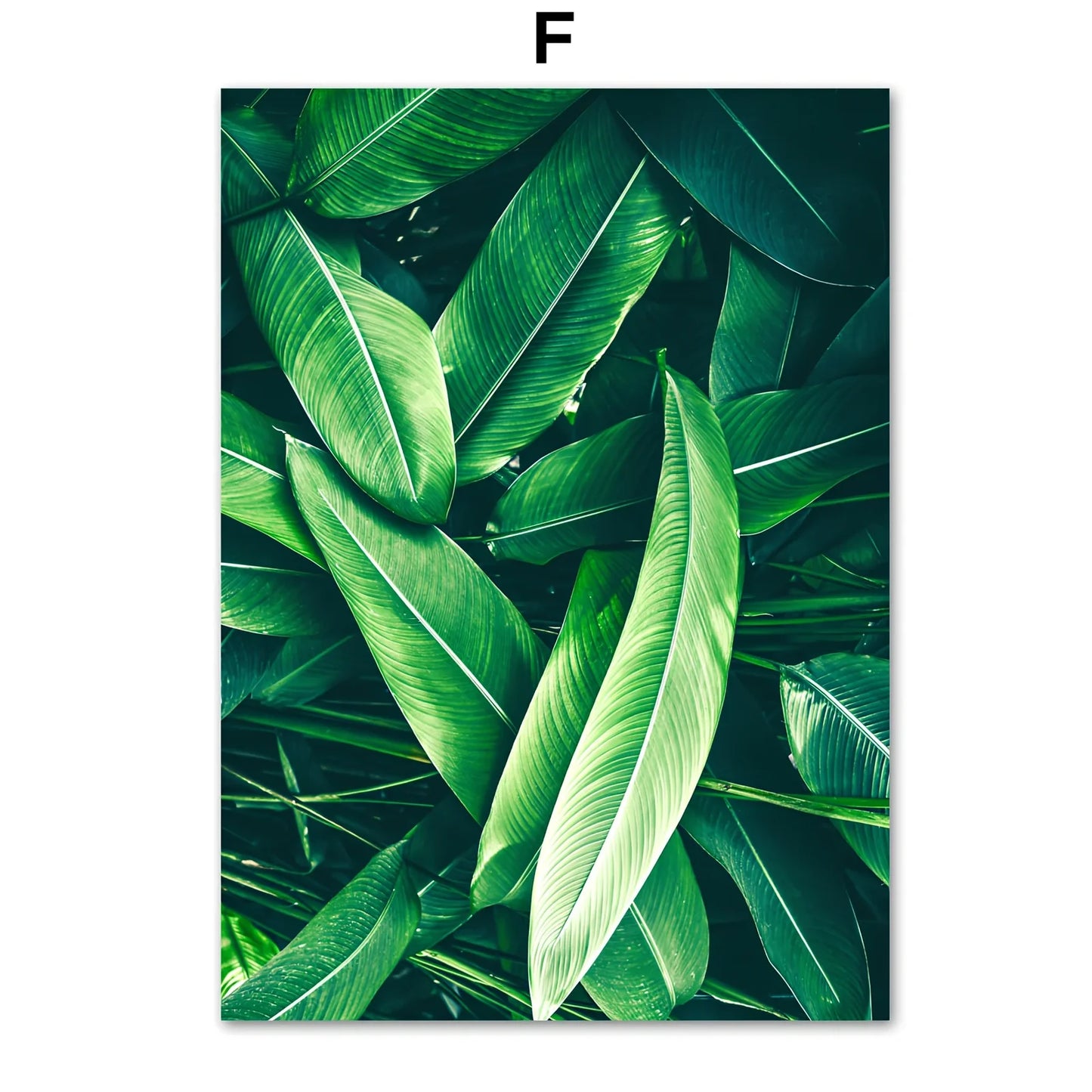 Frameless green plant canvas painting showing botanical pattern on chemical fibre canvas material