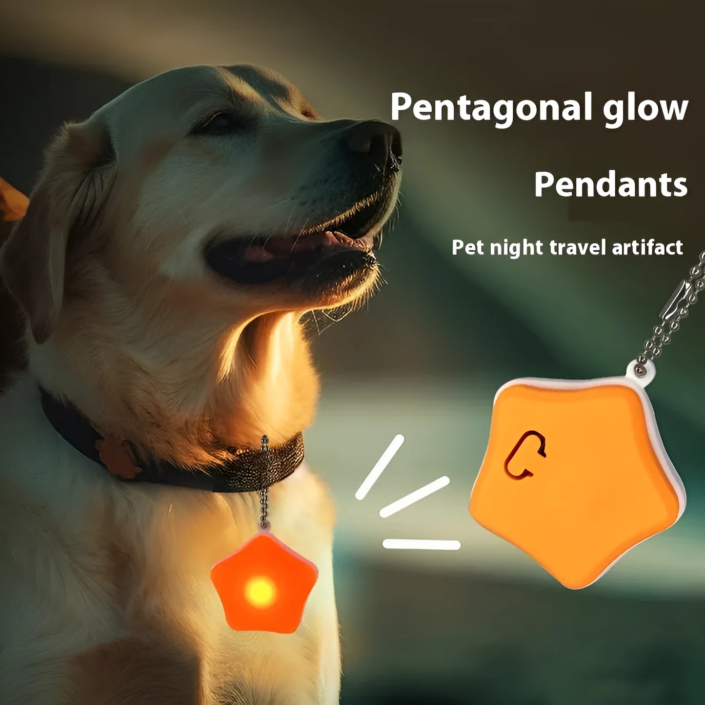 Blue rechargeable dog walking light attached to black dog collar showing LED illumination