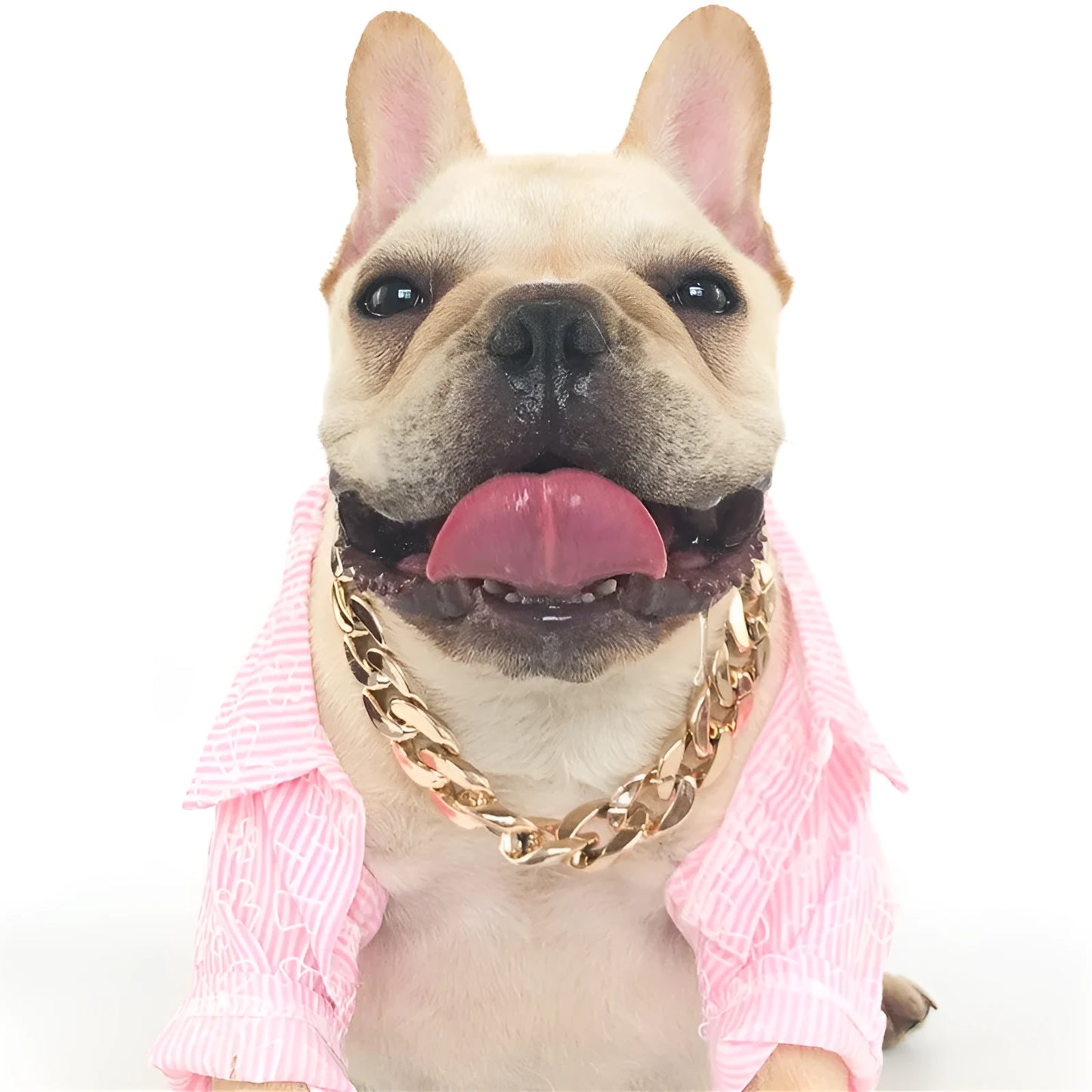 Gold colour twisted chain dog collar with an adjustable buckle for small to medium-sized dogs.