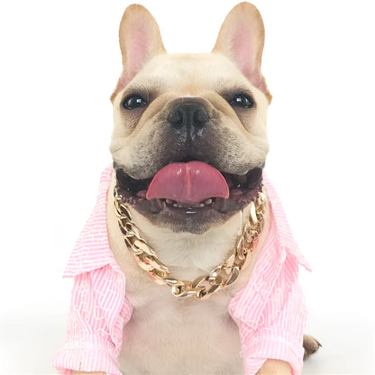 Gold colour twisted chain dog collar with an adjustable buckle for small to medium-sized dogs.