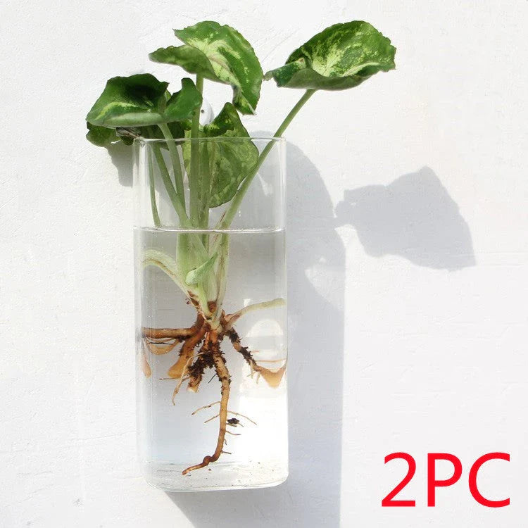Wall-mounted glass flower vase and terrarium with various design options for customization and decoration