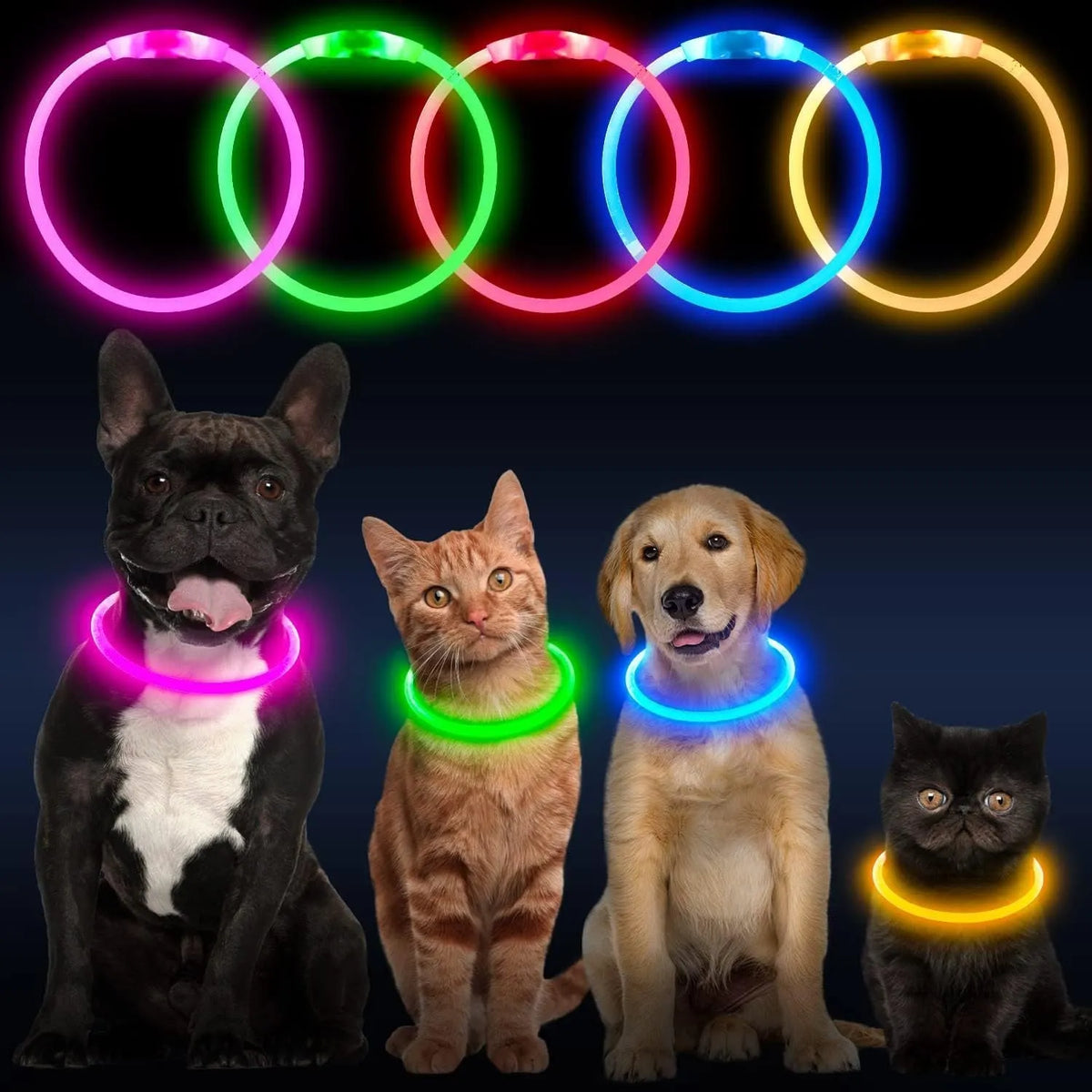 Blue USB rechargeable LED dog collar with glow lights, adjustable 70cm length for pet safety.