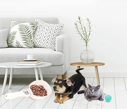 White electronic pet feeding weighing spoon with digital display and removable metal shovel head on a table.