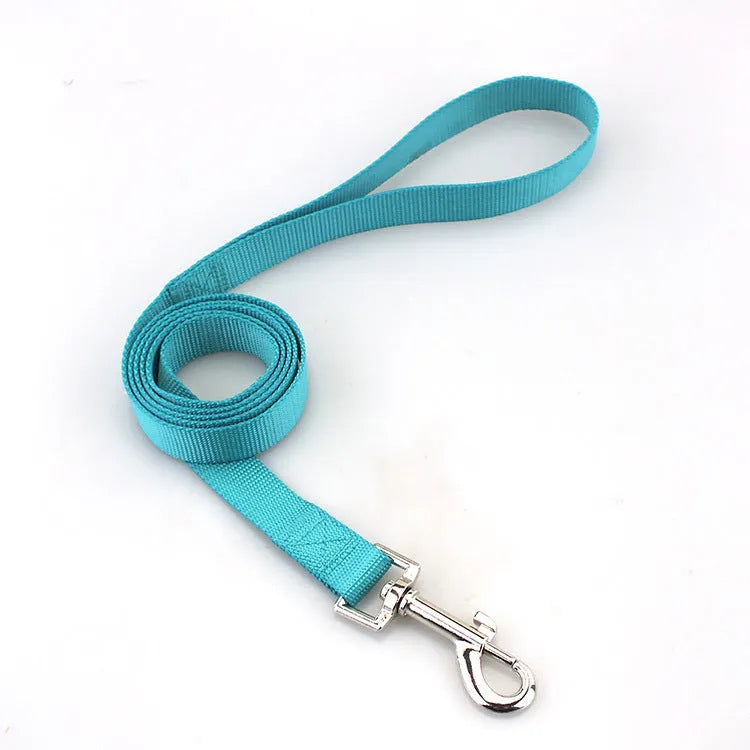 Solid colour polyester dog leash rope in hand, showing various width and colour options.
