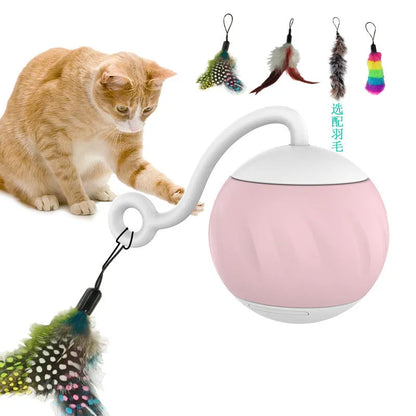 Electric cat teasing ball toy in watermelon or pumpkin colour design
