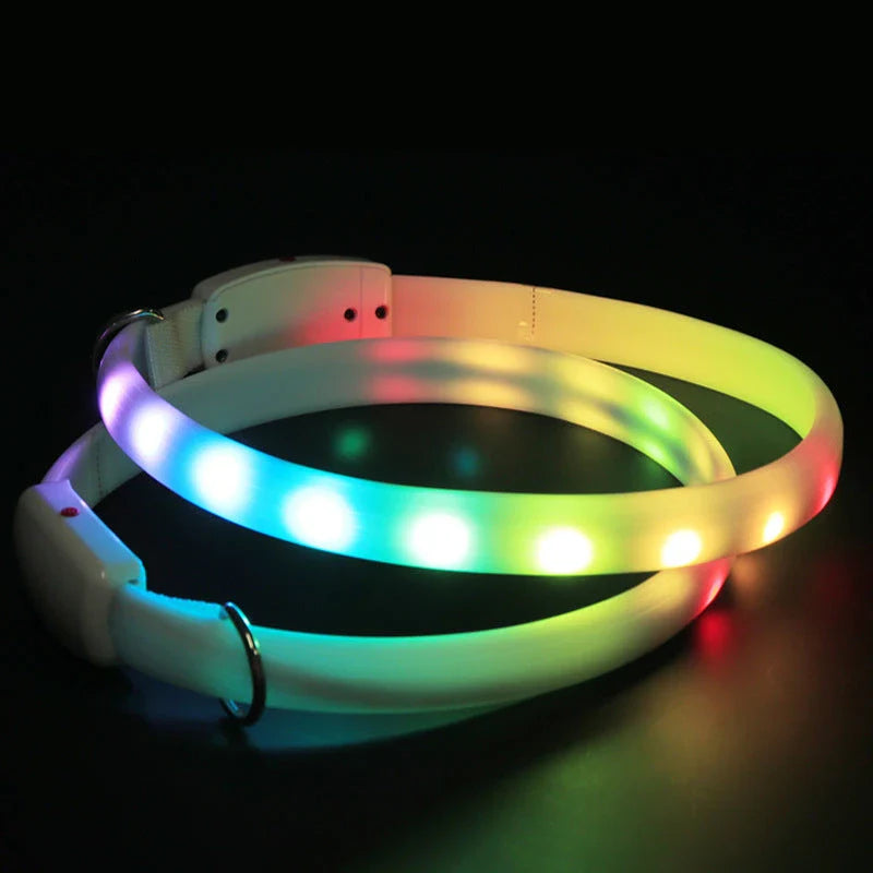 Bright LED pet collar with adjustable design for safe nighttime dog walking