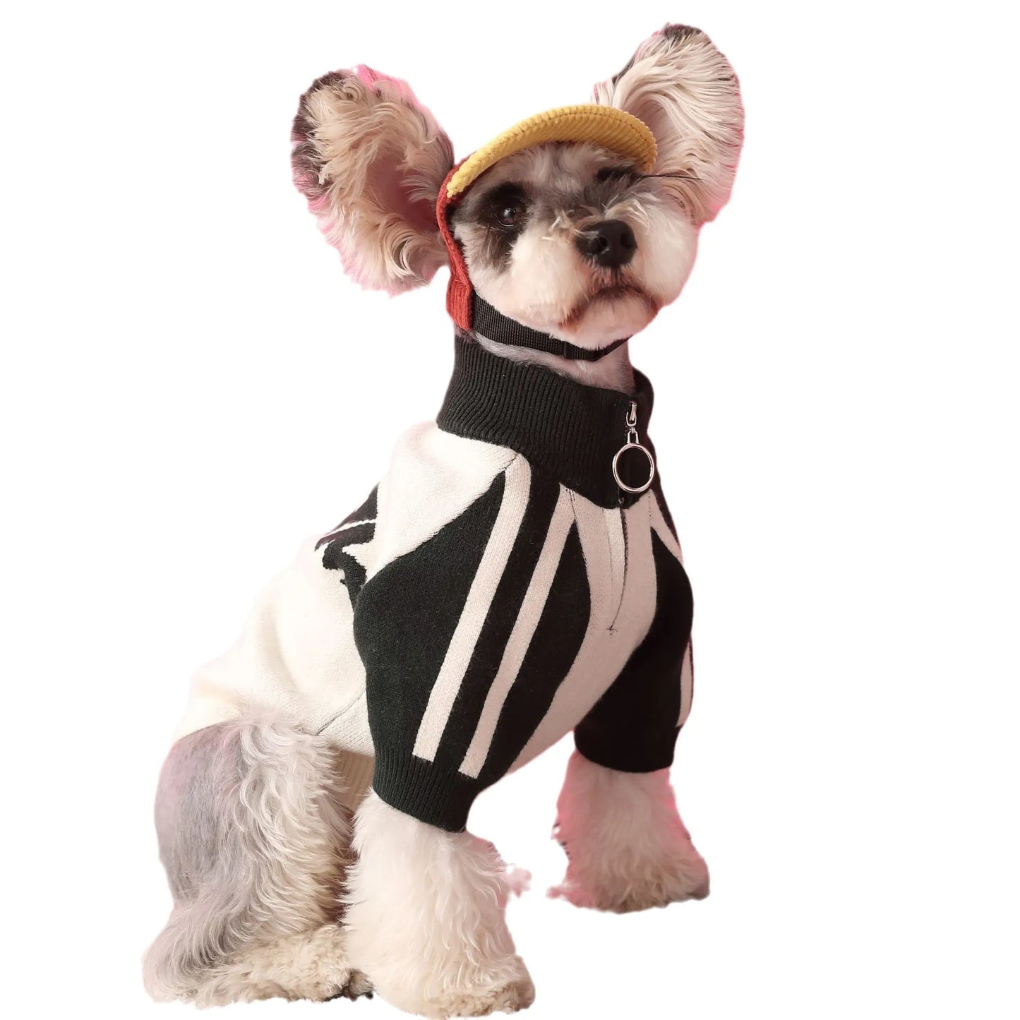 Red wool dog sports cardigan for male dogs, sizes S to XXL, casual pet sweater