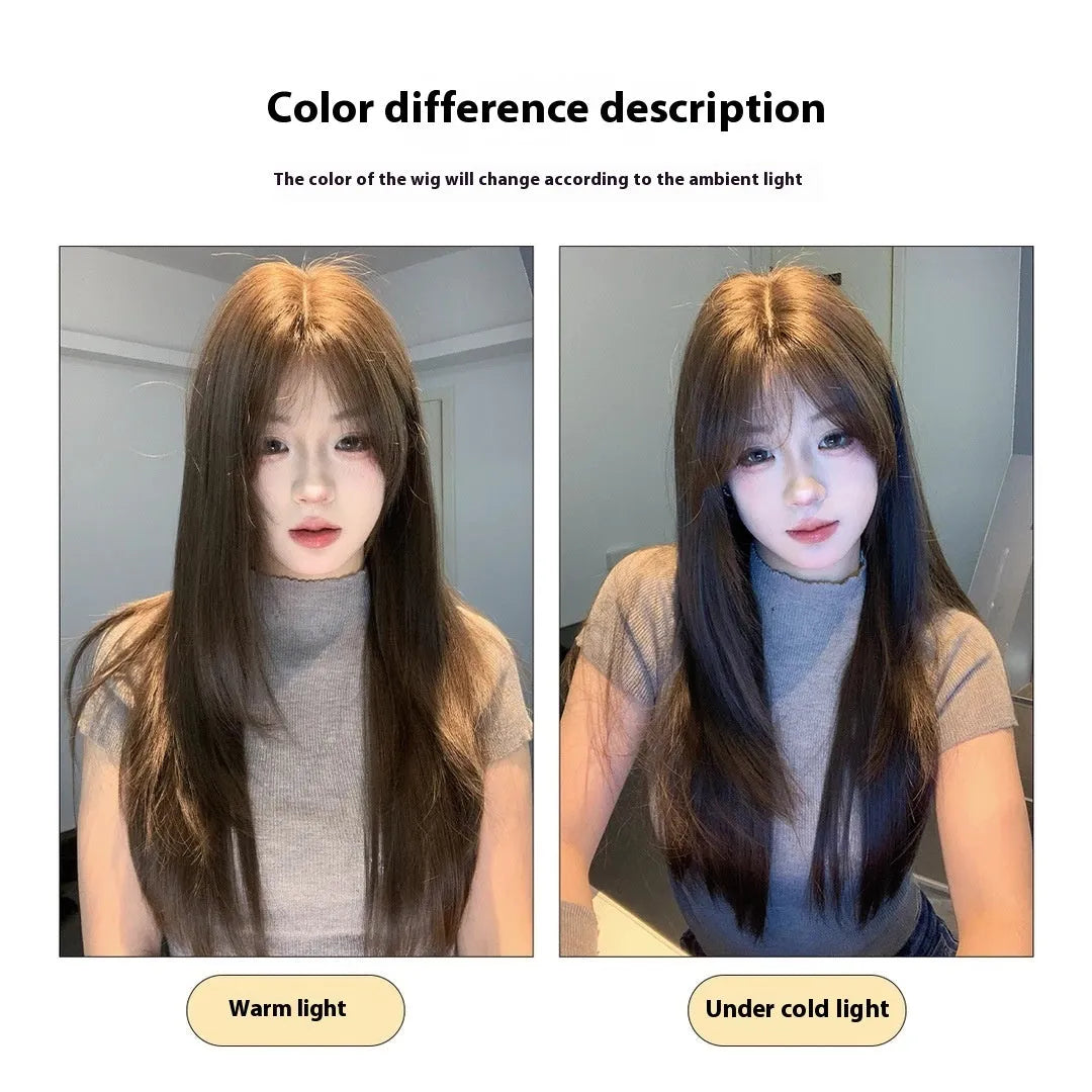 Layered long straight full-head wig in a cold brown colour with a lace front.