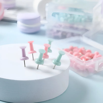 Plastic push pins in macaron colours - large and small sizes in boxed packaging
