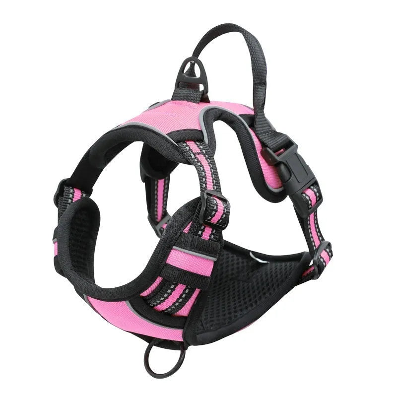 Adjustable Oxford cloth dog chest harness shown in multiple colours including red, blue, and green.