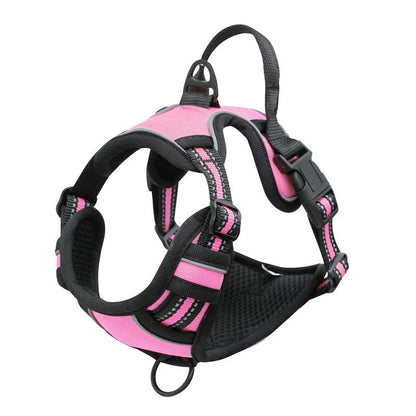 Adjustable Oxford cloth dog chest harness shown in multiple colours including red, blue, and green.