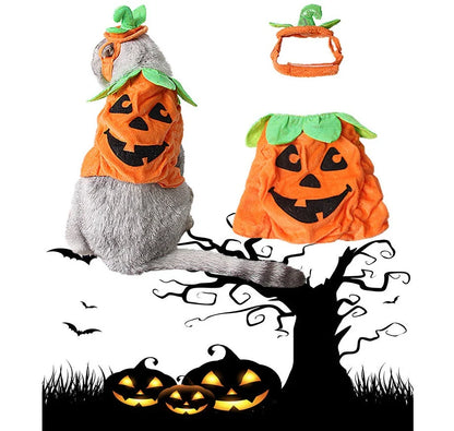 Pumpkin-themed Halloween costume for cats, featuring a plush hat and dress with vibrant patterns and leaf accents