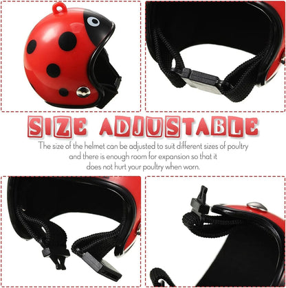 Small hard plastic helmet with elastic straps and sponge lining, designed for a chicken or bird to wear.
