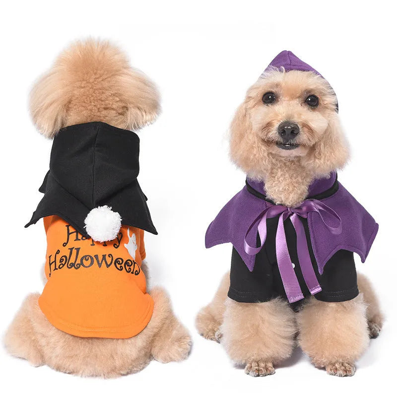 Black and orange Halloween dog costume with sweater and shawl pieces