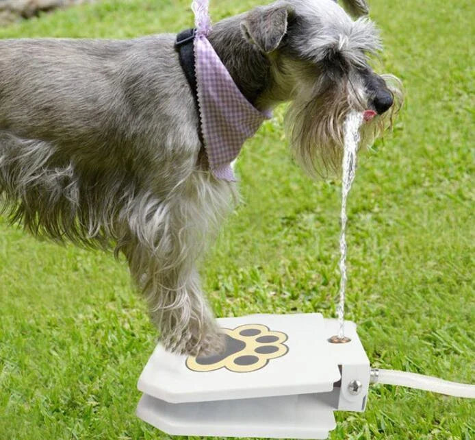 Automatic Dog Water Fountain with paw-activated water dispenser in a backyard setting