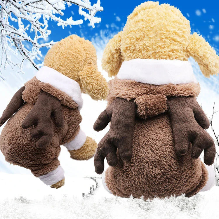 Stylish pet clothing collection featuring a range of cozy and fashionable outfits for dogs and cats