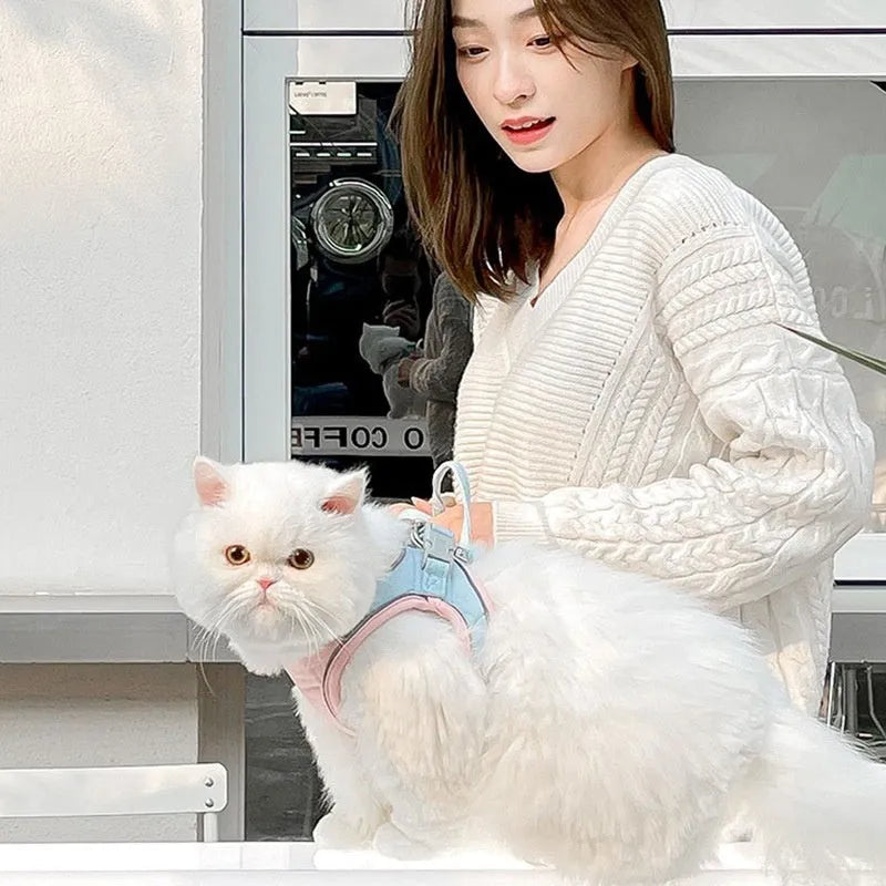 Cat pulling rope vest with reflective chest strap in suede material with contrast stitching