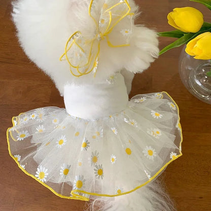 Yellow little daisy pattern summer dog clothes in polyester fabric for small dogs