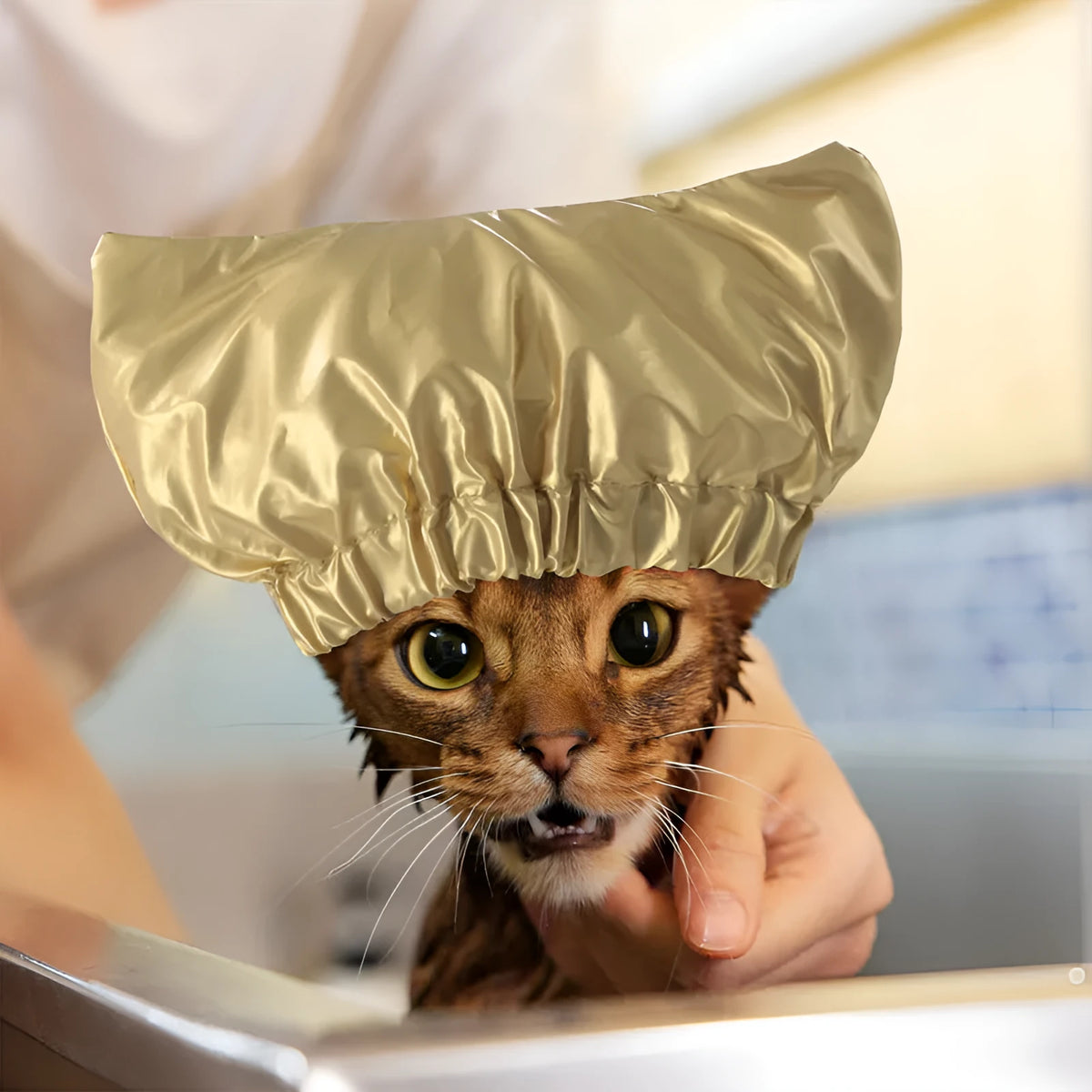 Adjustable waterproof shower cap for pets in silver colour with size options for dogs and cats