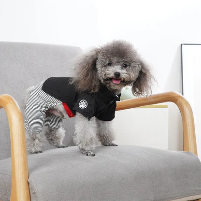 Poodle wearing thin cotton dog clothes, available in skirt or four-foot pants styles.