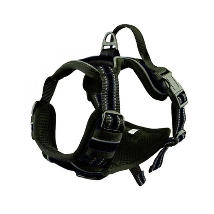 Adjustable Oxford cloth dog chest harness shown in multiple colours including red, blue, and green.