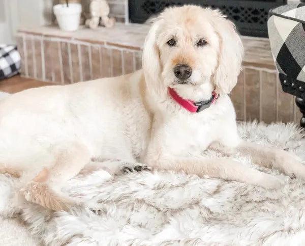 Beige plush dog mat cushion bed for large dogs, showing soft fabric texture and raised height.