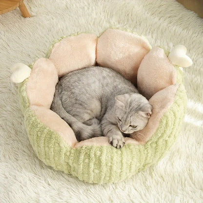 Cactus pattern soft cat litter kennel in purple or green, showing large and small size options