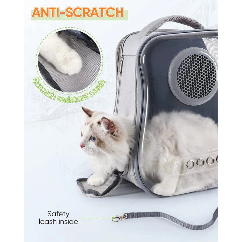 Breathable dog backpack with transparent window and breathable design for small pets