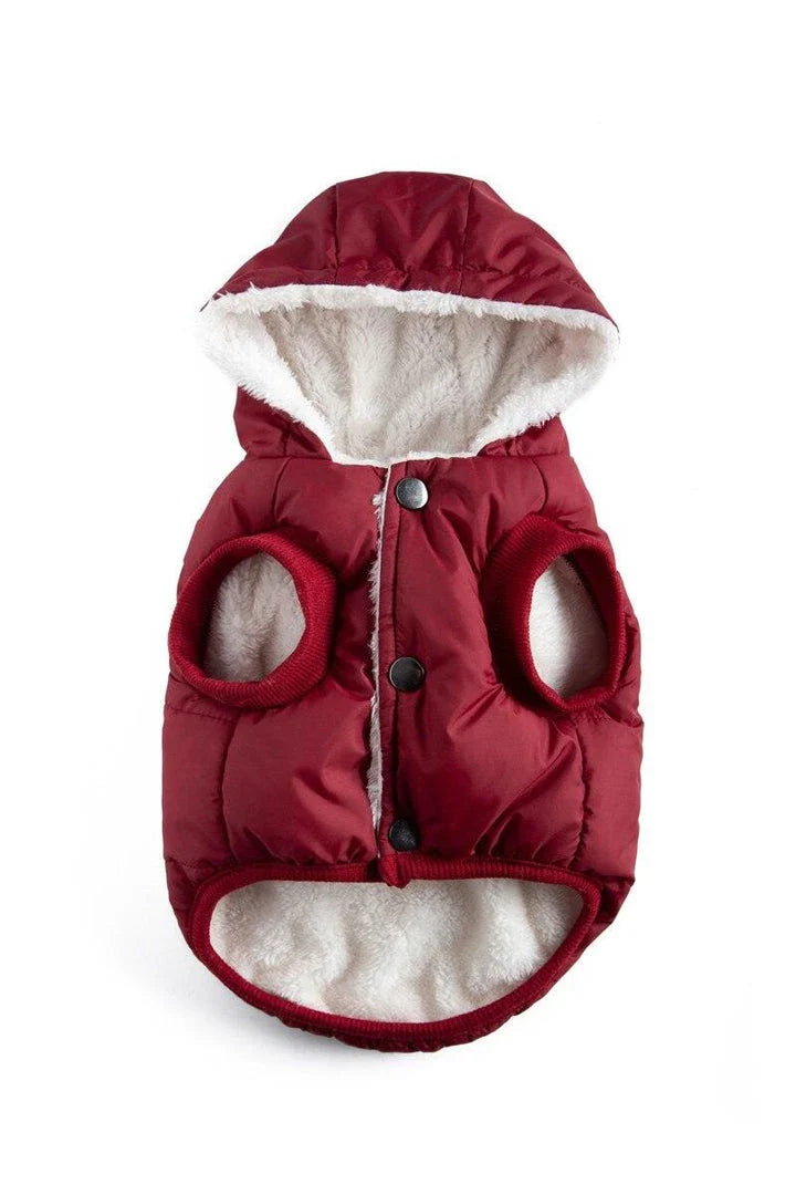 Stylish and cosy cat's warm puffer vest for keeping your feline friend comfortable and fashionable