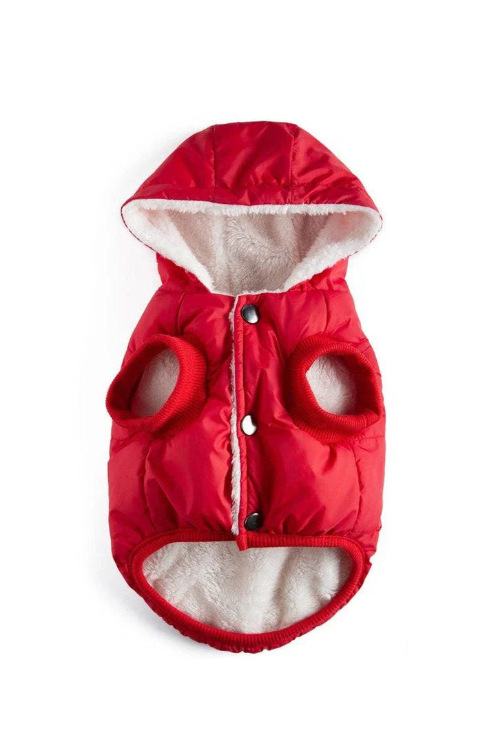 Stylish and cosy cat's warm puffer vest for keeping your feline friend comfortable and fashionable
