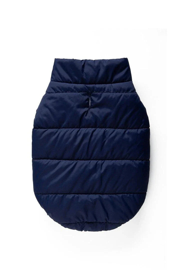 Stylish and cosy cat's warm puffer vest for keeping your feline friend comfortable and fashionable