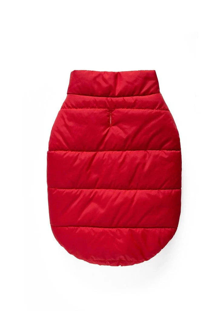Stylish and cosy cat's warm puffer vest for keeping your feline friend comfortable and fashionable