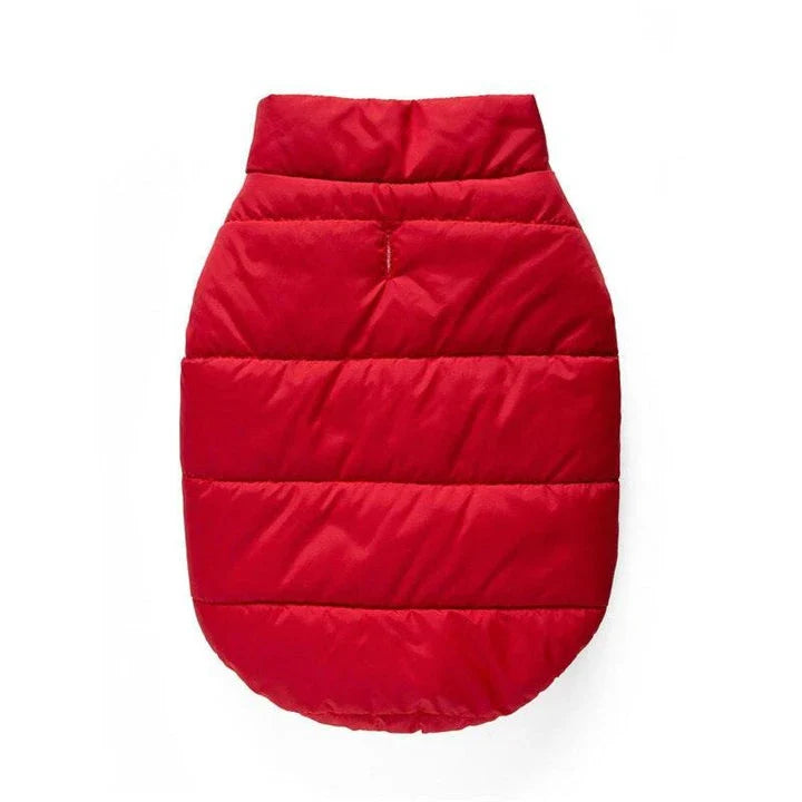 Stylish and cosy cat's warm puffer vest for keeping your feline friend comfortable and fashionable