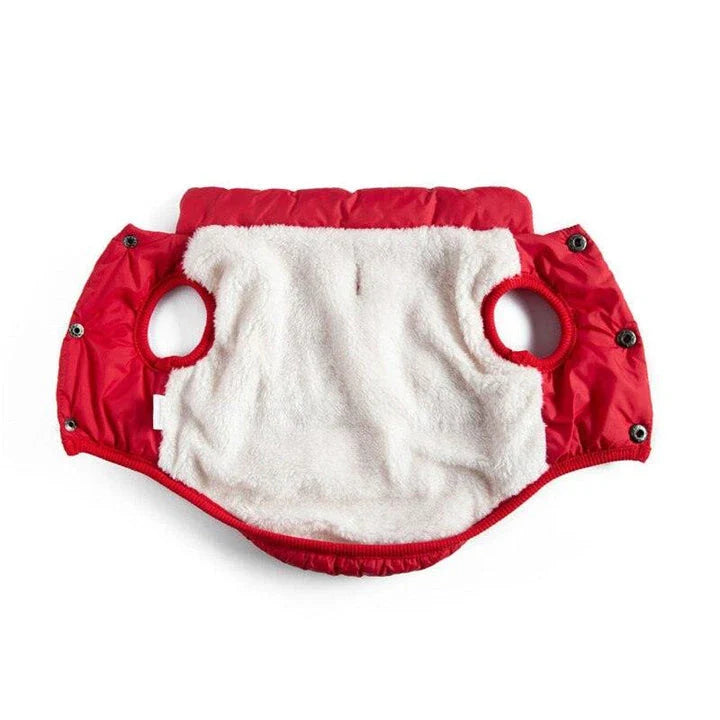 Stylish and cosy cat's warm puffer vest for keeping your feline friend comfortable and fashionable
