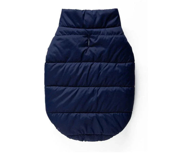 Stylish and cosy cat's warm puffer vest for keeping your feline friend comfortable and fashionable