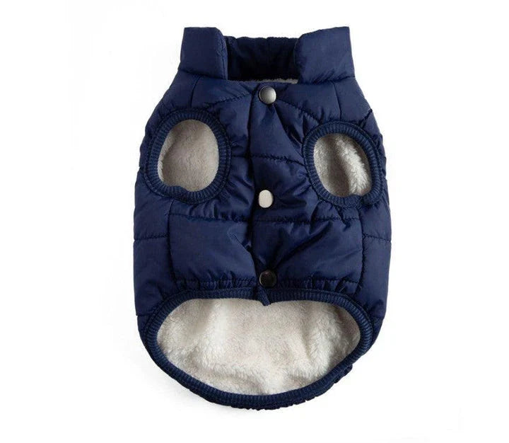 Stylish and cosy cat's warm puffer vest for keeping your feline friend comfortable and fashionable