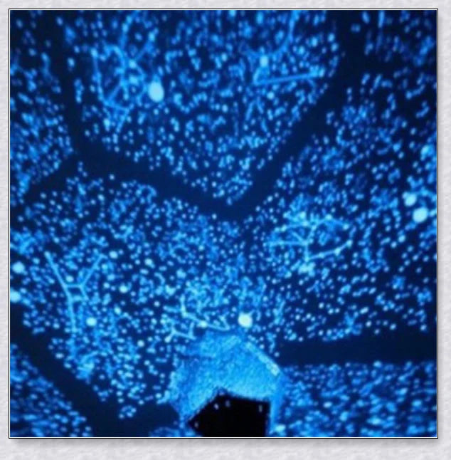 True Star Constellation Projector - Create a Starry Night Sky in Your Bedroom