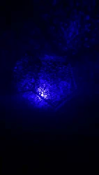 True Star Constellation Projector - Create a Starry Night Sky in Your Bedroom