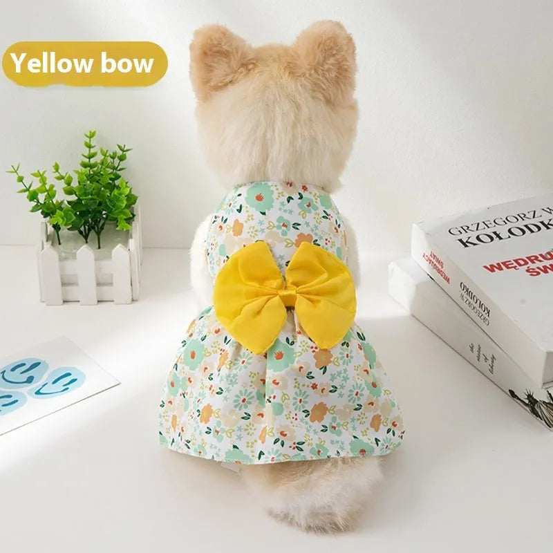 An orange floral butterfly knot princess dress for a small dog on a summer day.