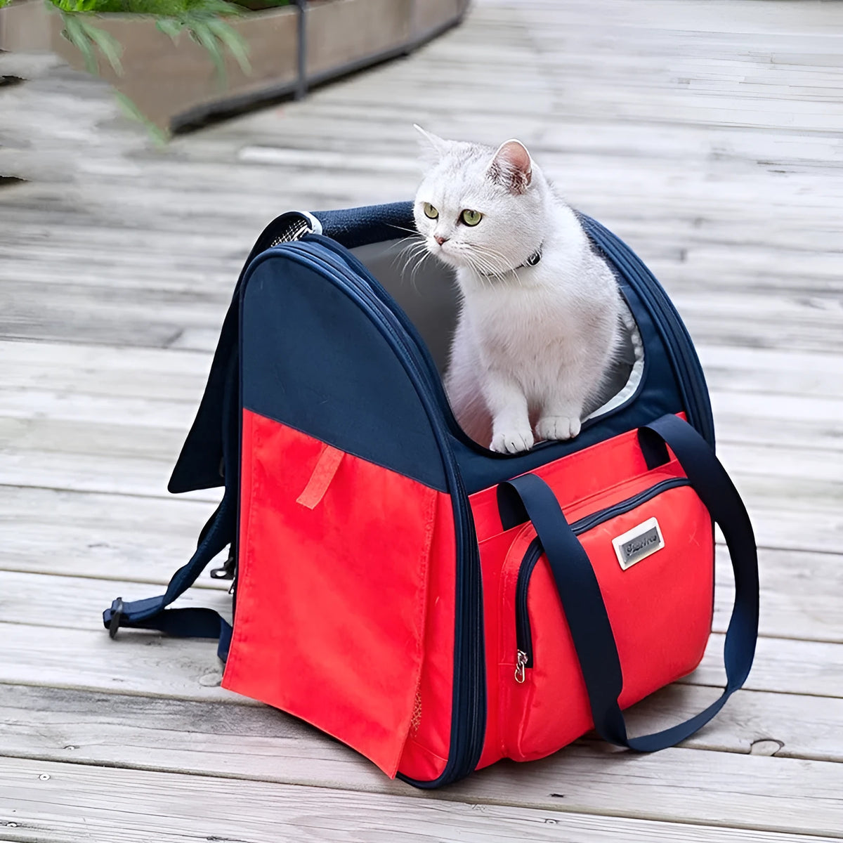 Medium-hard pet carrier backpack for small dogs and cats up to 10kg with aluminium buckles