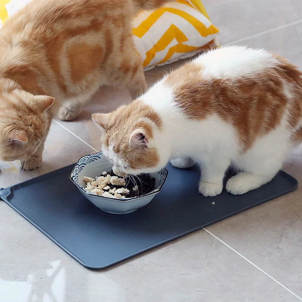 Premium silicone pet food mat with raised edges to contain splashes and spills, suitable for dogs and cats