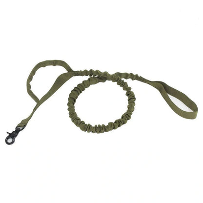 Retractable outdoor dog lead with elastic buffer for safe and comfortable walks