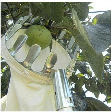 High-quality fruit picker tool with sturdy metal frame and reinforced cloth bag for effortless fruit harvesting from tall trees
