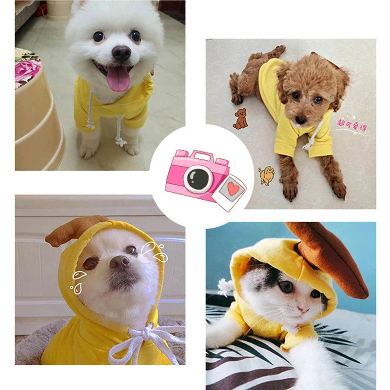 Cozy, fruit-themed dog hoodies in various sizes and styles to keep small pups warm and stylish during the winter season