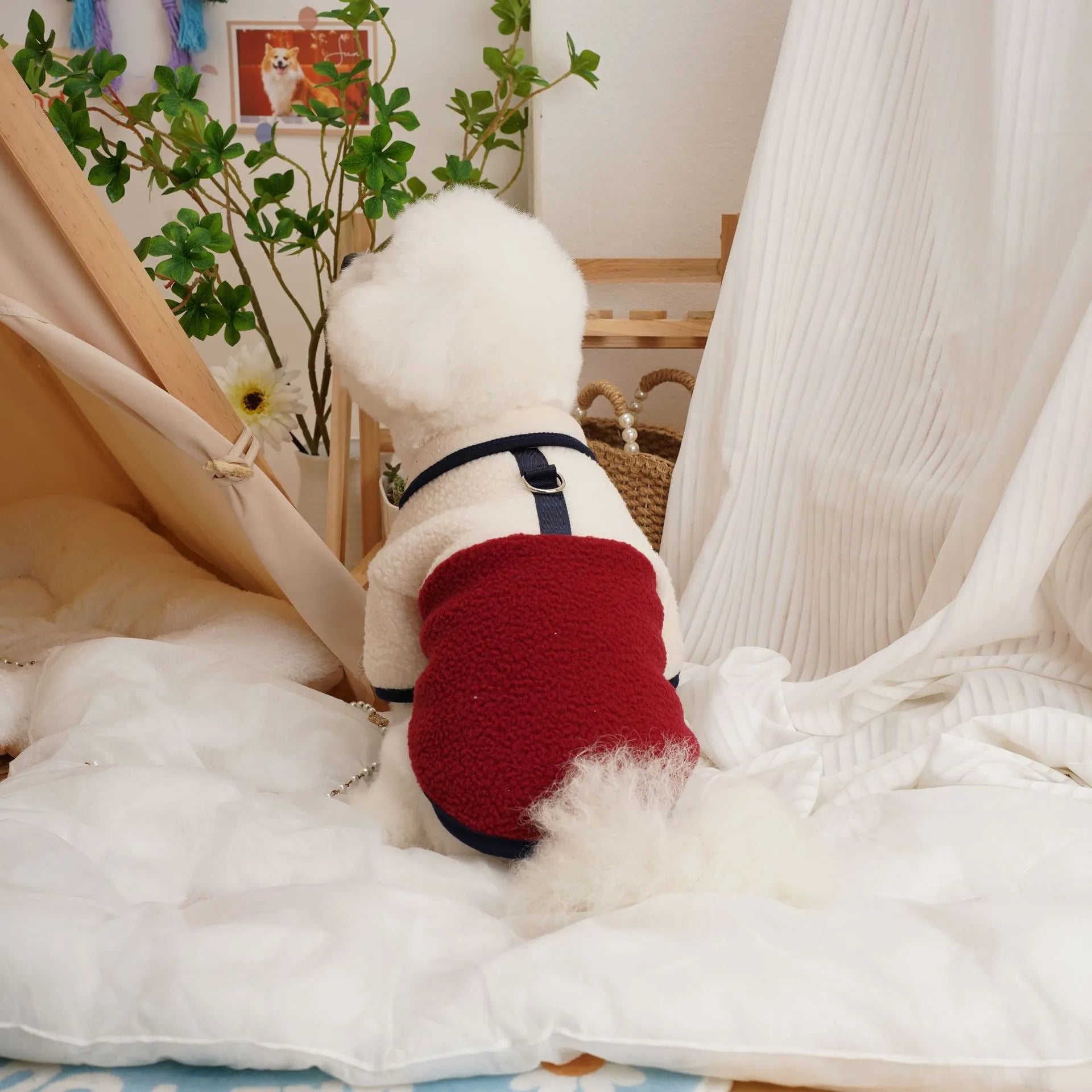 Lambswool pet sweatshirt in caramel colour with berber fleece thickened construction