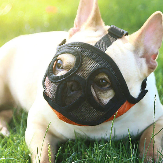 Hoopet Breathable Dog Muzzle for French Bulldogs and Flat-Faced Breeds in Adjustable Sizes and Styles