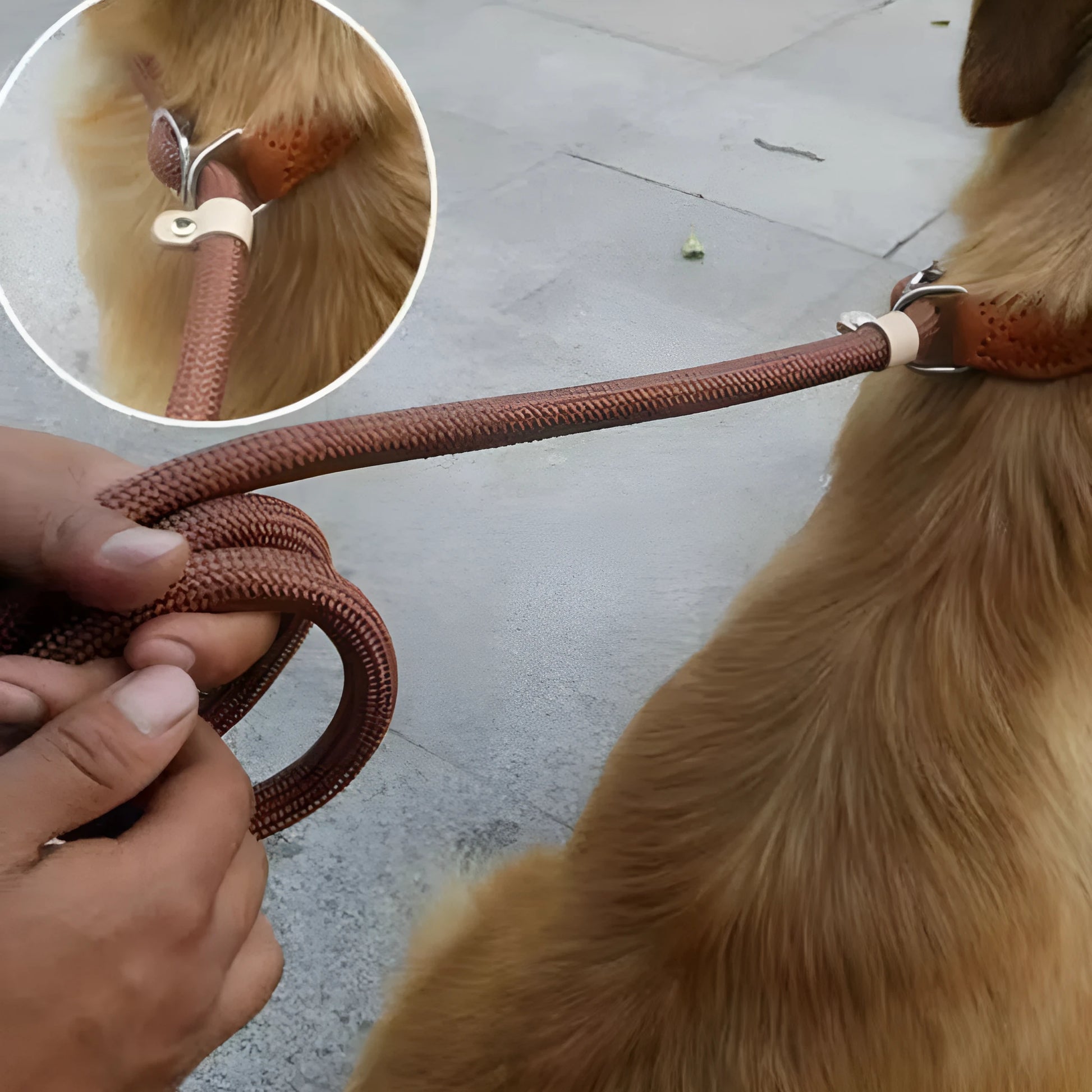 Brown nylon P chain dog leash hand holding rope showing 2.1 metre length