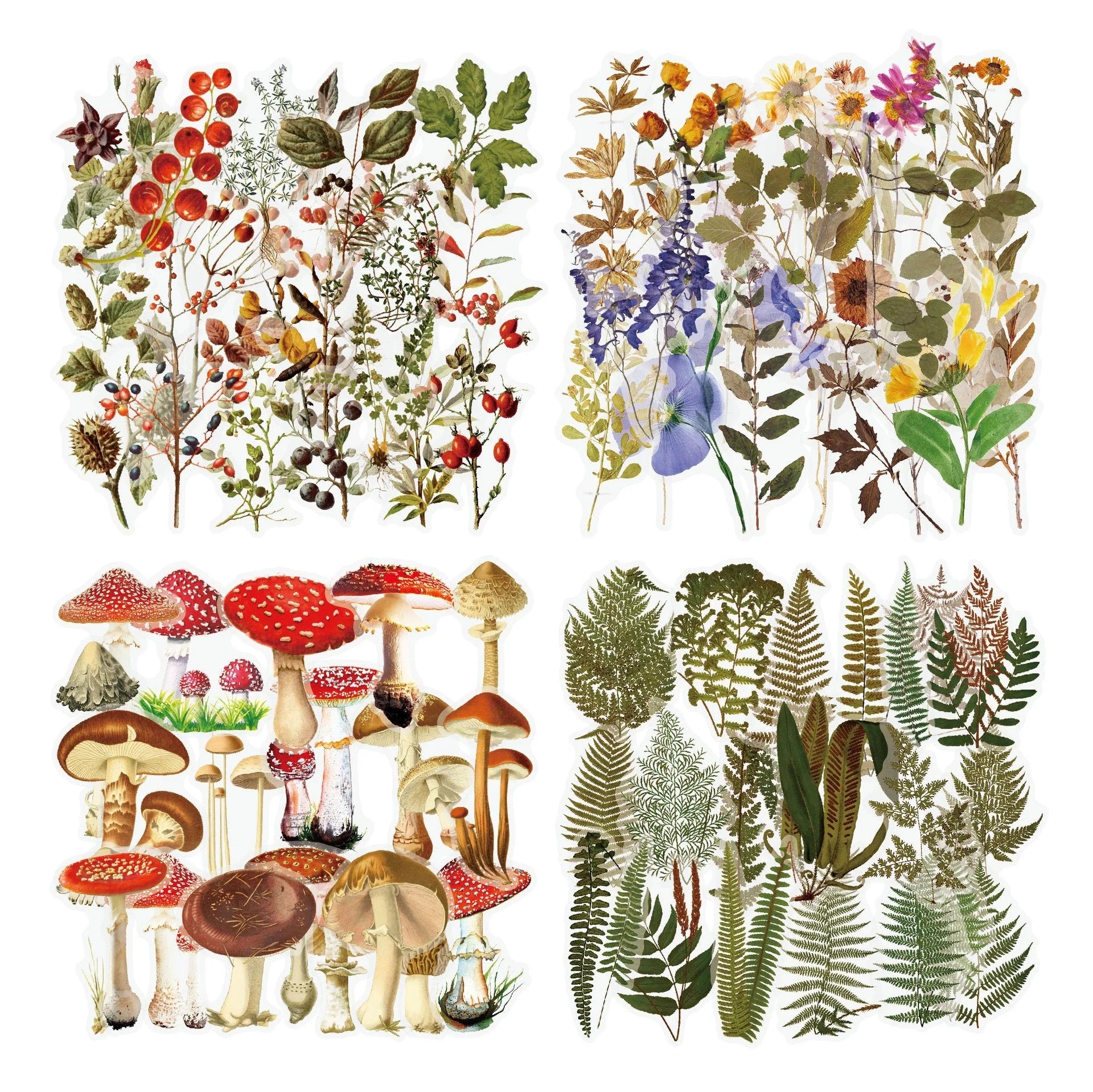 Enchanting collection of transparent floral, mushroom, and fern stickers for DIY crafting and design