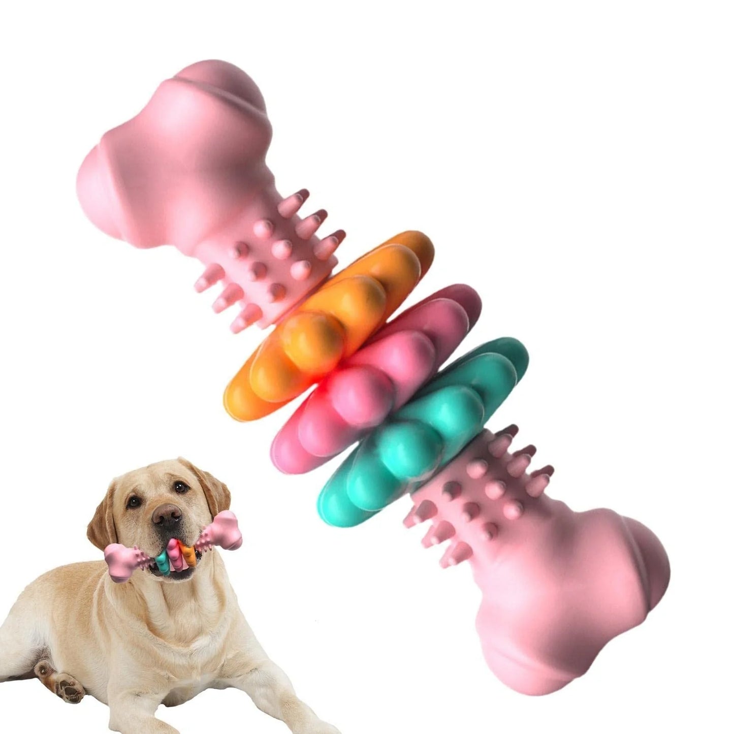 TPR Dog Chew Bone in blue, pink, and green for teeth cleaning and stress relief